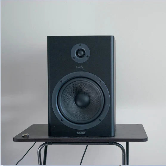 Cómo conectar un altavoz al proyector